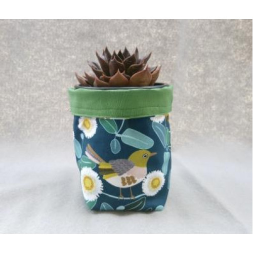 Greenway Succulent Garden