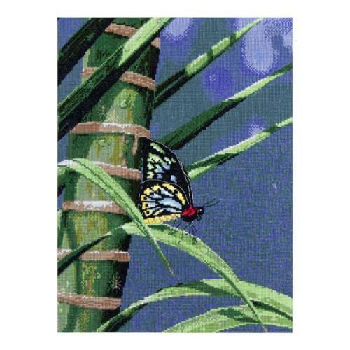 Cairns Birdwing Butterfly counted cross stitch kit 