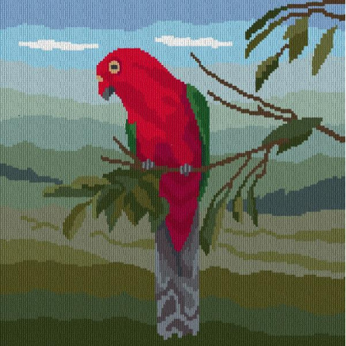 King Parrot Long Stitch Kit by Maureen Maguire Design 30 x 30 cm